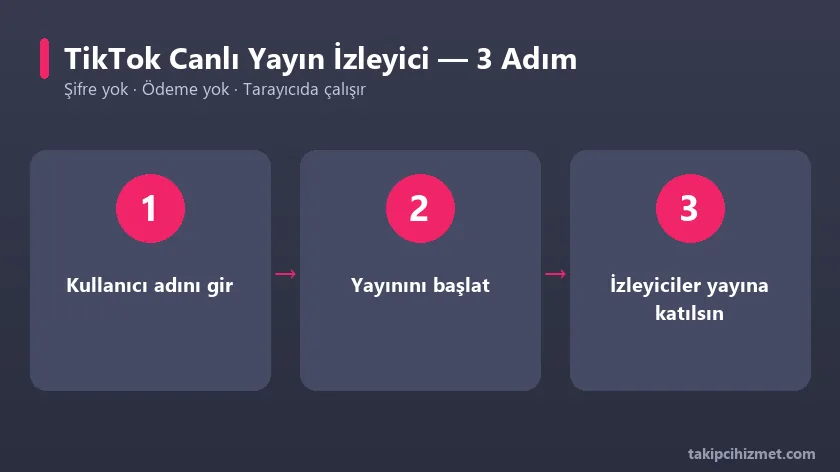 TikTok canlı yayın izleyici aracının 3 adımda kullanımı